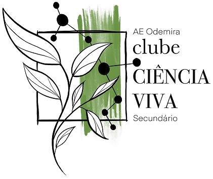 logosecundario fbranco