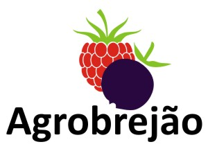 agrobrejao