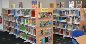 Procedimento concursal externo para recrutamento de professor bibliotec&aacute;rio